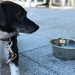 Arc-en-ciel Contact Colmar