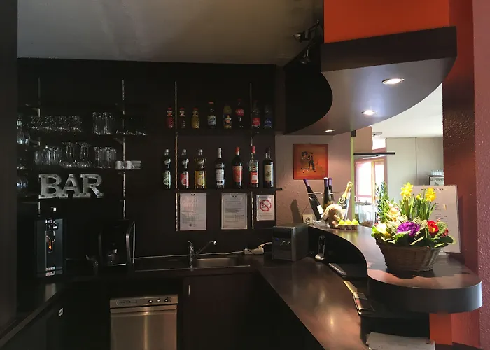 Arc-en-ciel Contact Hotel